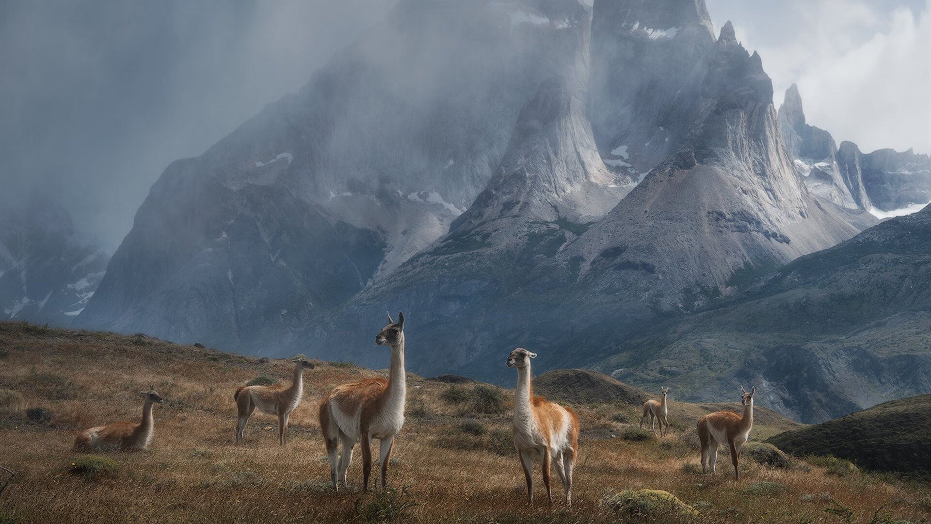 小贾伦狂飙40分创纪录，广厦队加时鏖战突围掘金关键一役